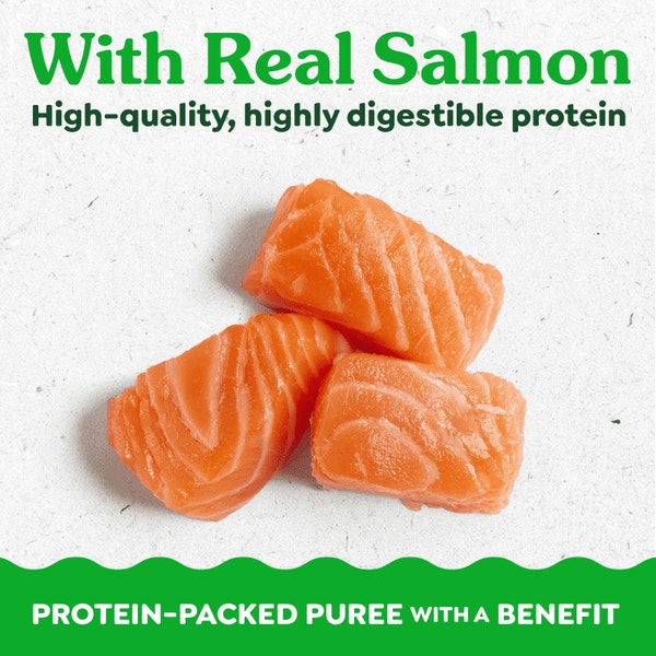 Smart Purees Lickable Cat Treats Skin & Fur Health Salmon asset 2