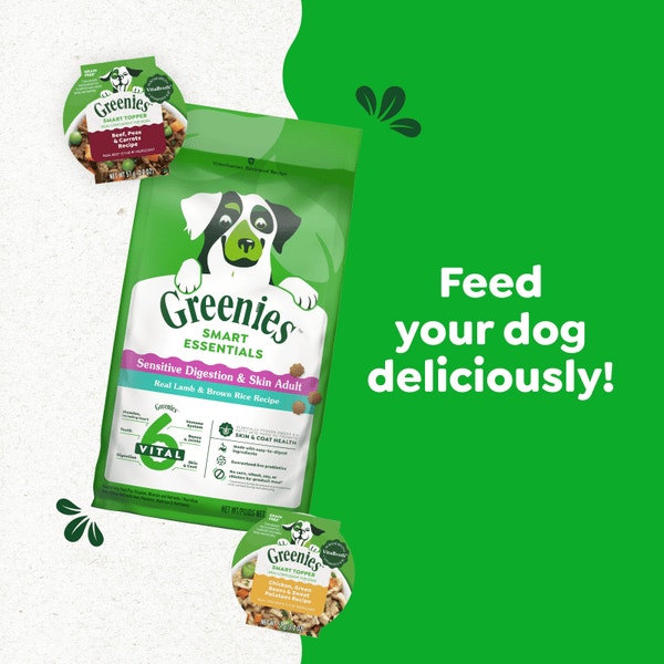 Smart Essentials Sensitive Digestion & Skin Adult Dry Dog Lamb & Brown Rice asset 3