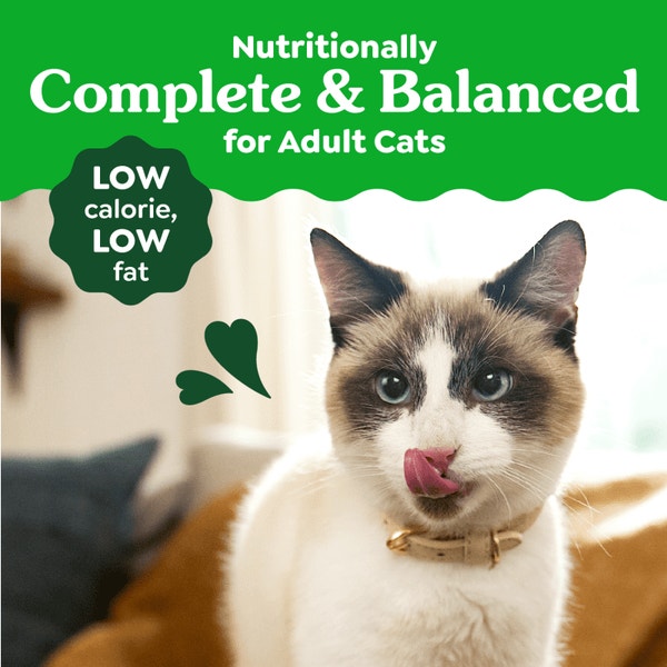 Smart Purees Lickable Cat Treats Skin & Fur Health Salmon asset 5