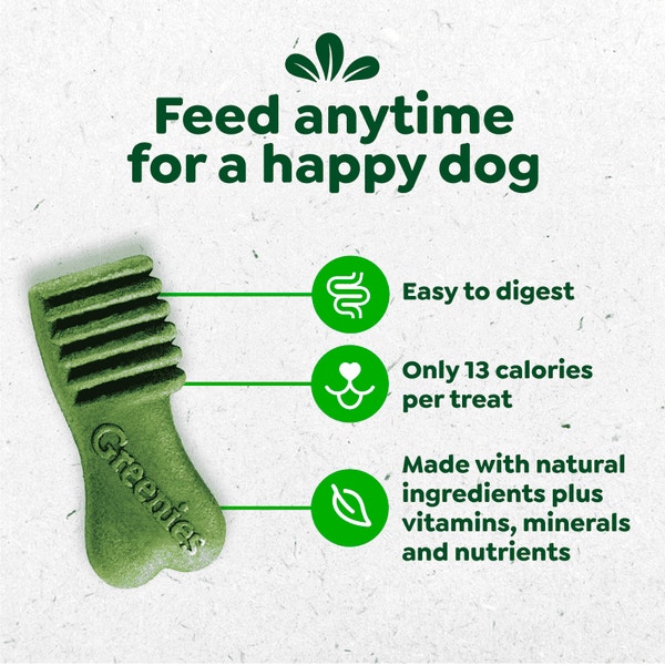 Anytime Bites Dog Treats Mint asset 2