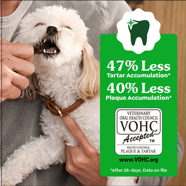 Adult Dental Dog Treats Large Size Original asset 2