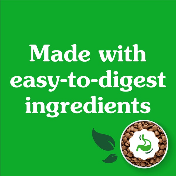 Smart Essentials Sensitive Digestion & Skin Adult Dry Dog Lamb & Brown Rice asset 4
