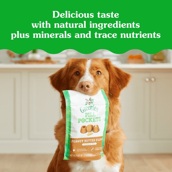 Pill Pockets for Dogs Soft Dog Treats Tablet Size Peanut Butter asset 3