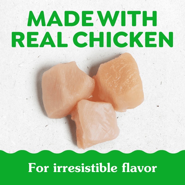 Digestive Health With Probiotics Supplements for Dogs Chicken asset 2