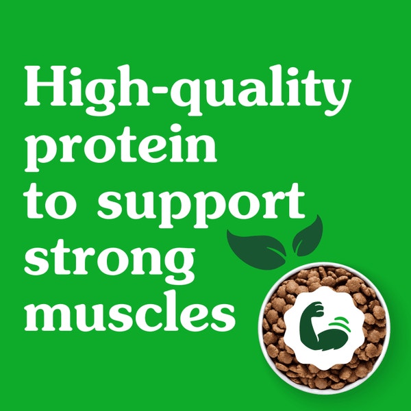 Smart Essentials Adult High Protein Dry Dog Food Small Size Chicken & Rice asset 4
