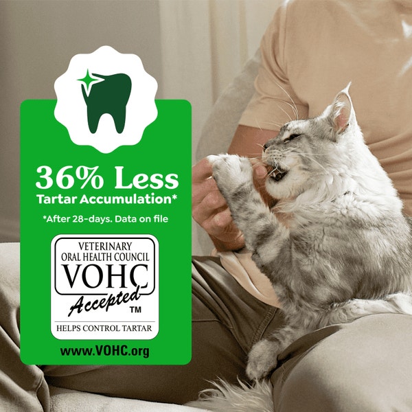 Feline Dental Catnip Flavor Cat Treats asset 2