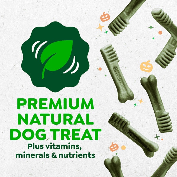 Adult Dental Dog Treats Regular Size Pumpkin Spice asset 3