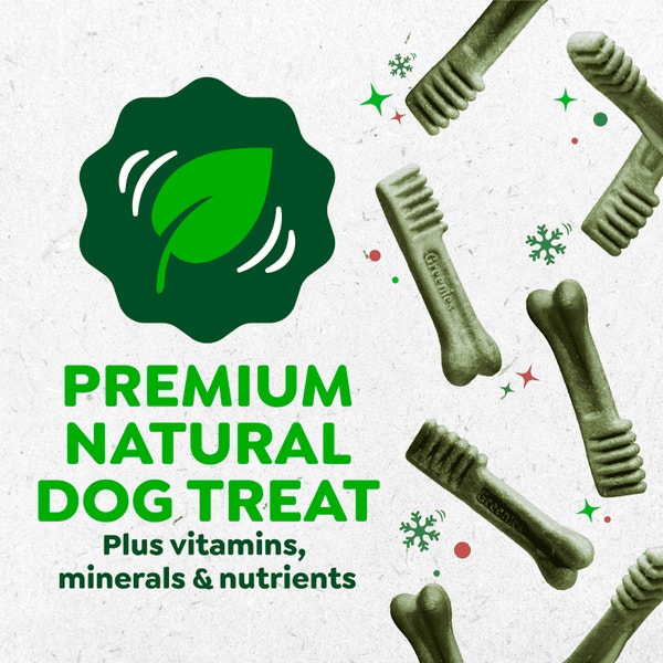Adult Dental Dog Treats Teenie Size Gingerbread asset 3