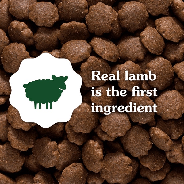 Smart Essentials Sensitive Digestion & Skin Adult Dry Dog Lamb & Brown Rice asset 2