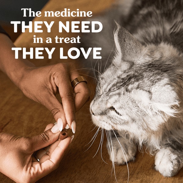 Feline PILL POCKETS Salmon Flavor Cat Treats asset 5