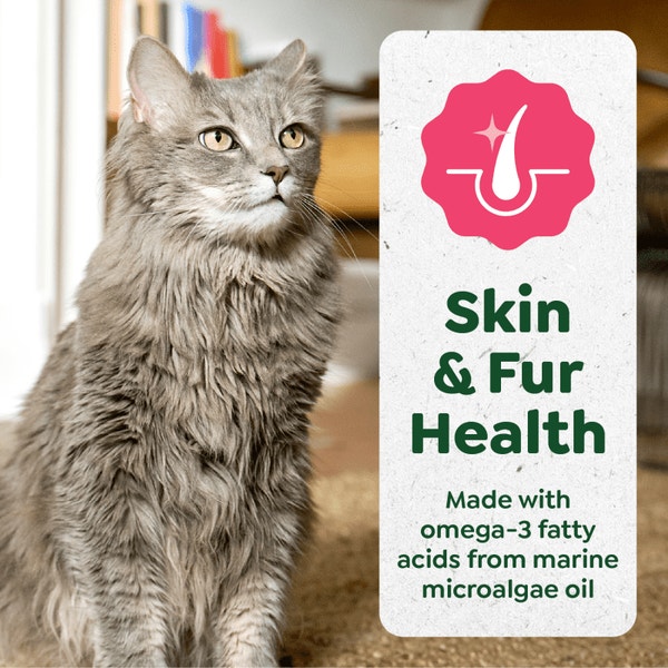 Smart Purees Lickable Cat Treats Skin & Fur Health Salmon asset 3