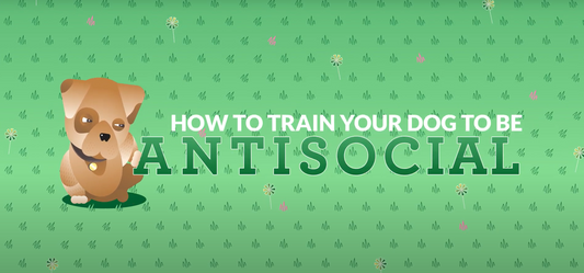 How to Train Your Dog to Be Antisocial