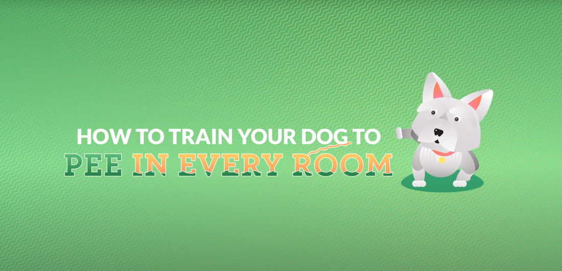 Teach Your Dog to Pee in Every Room