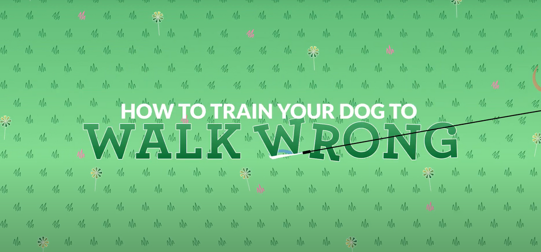 How to Train Your Dog to Walk Wrong