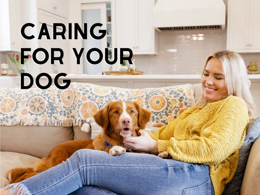 Caring for Your Dog