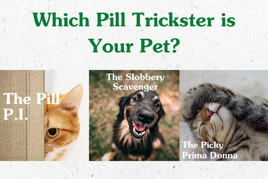 Which pill trickster is your pet?