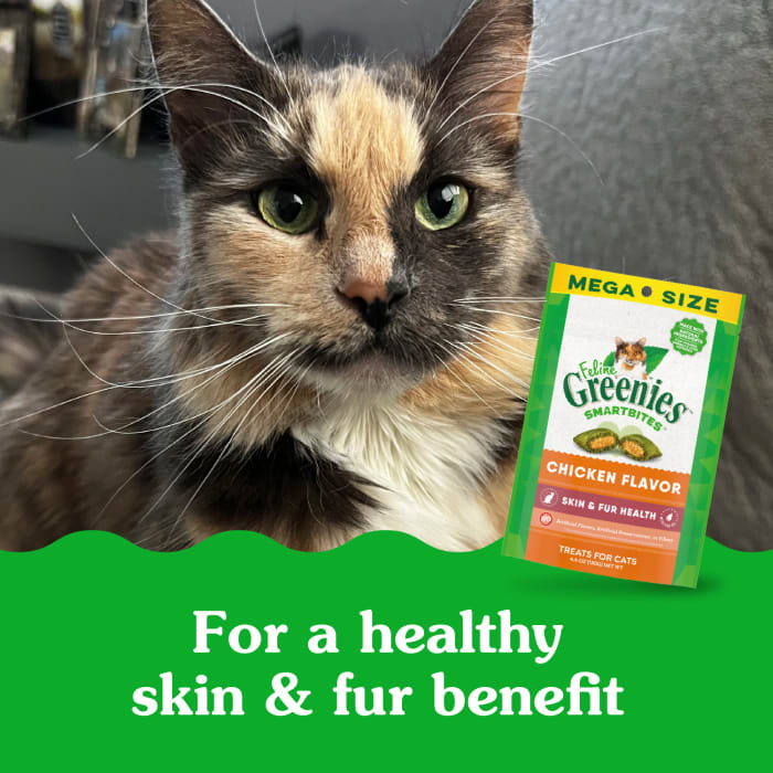 10169338_Greenies_Smartbites_Skin&FurHealth_Chicken_4.6_oz_lifestyle1.jpg