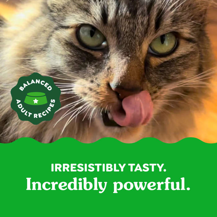 10205248_Greenies_AdultCat_DentalTreats_OvenRoastedChicken_2.1_oz_lifestyle1.jpg