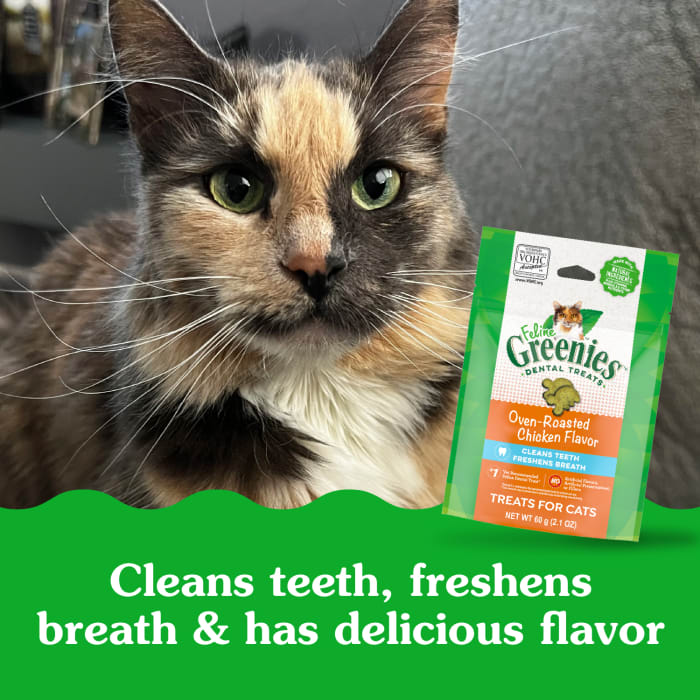 10205248_Greenies_AdultCat_DentalTreats_OvenRoastedChicken_2.1_oz_lifestyle2.jpg