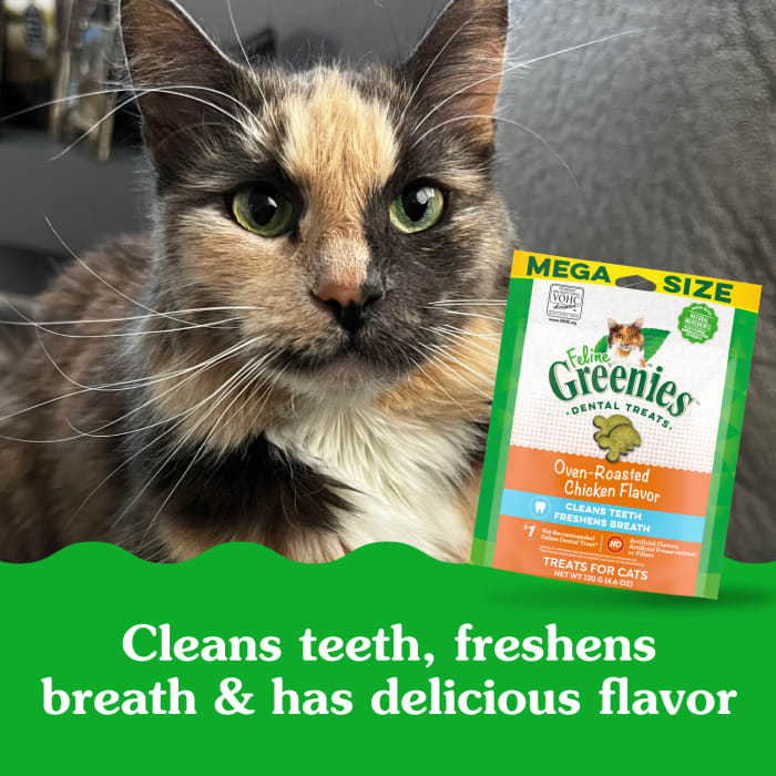 10205250_Greenies_AdultCat_DentalTreats_OvenRoastedChicken_4.6_oz_lifestyle2.jpg