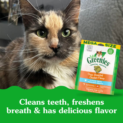 10205250_Greenies_AdultCat_DentalTreats_OvenRoastedChicken_4.6_oz_lifestyle2.jpg