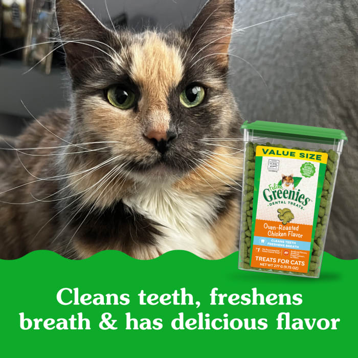 10205252_Greenies_AdultCat_DentalTreats_OvenRoastedChicken_9.75_oz_lifestyle2.jpg