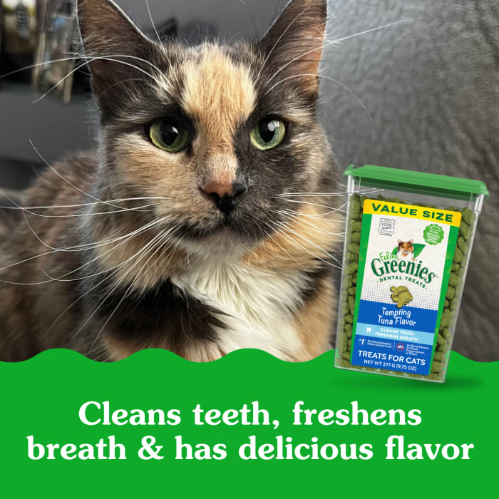 10205276_Greenies_AdultCat_DentalTreats_TemptingTuna_9.75_oz_lifestyle2.jpg