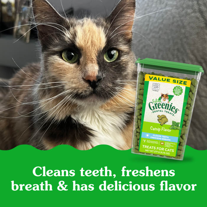 10205297_Greenies_AdultCat_DentalTreats_Catnip_9.75_oz_lifestyle2.jpg