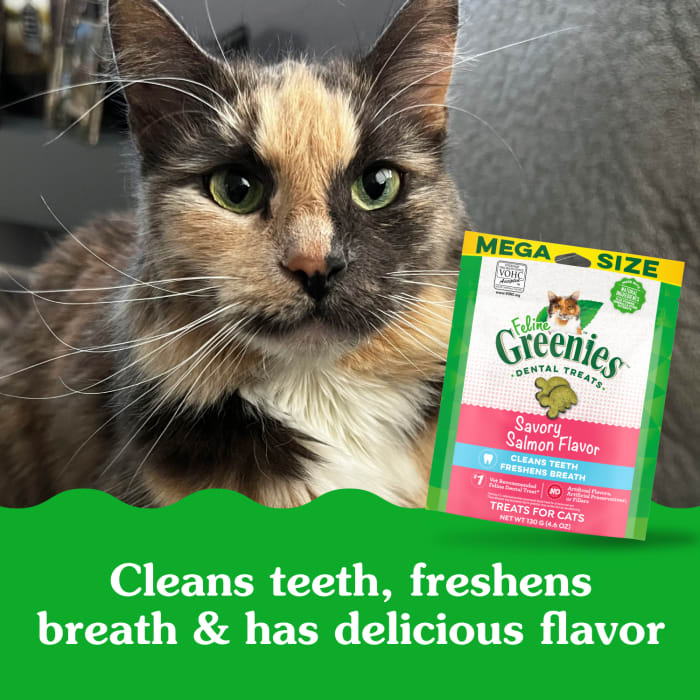 10205312_Greenies_AdultCat_DentalTreats_SavorySalmon_4.6_oz_lifestyle2.jpg