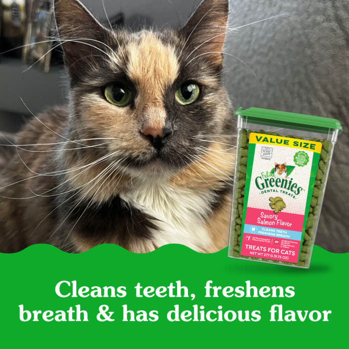 10205316_Greenies_AdultCat_DentalTreats_SavorySalmon_9.75_oz_lifestyle2.jpg