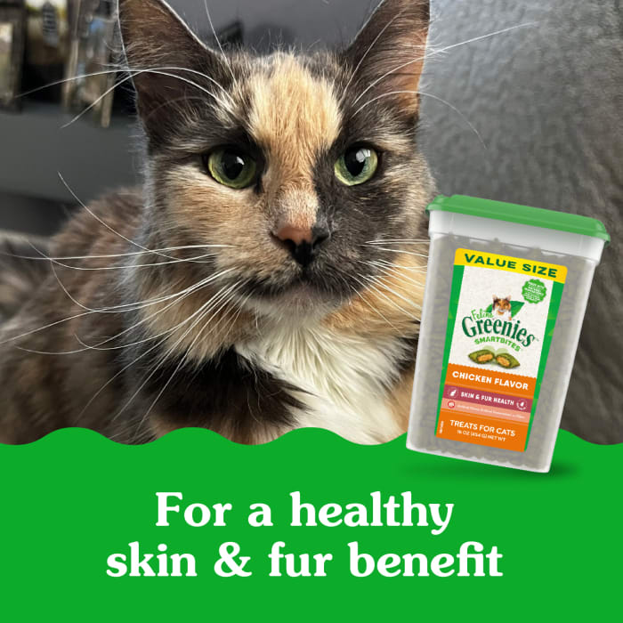 10221984_Greenies_Smartbites_Skin&FurHealth_Chicken_16_oz_lifestyle1.jpg