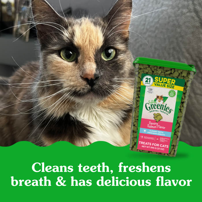 10223624_Greenies_AdultCat_DentalTreats_SavorySalmon_21_oz_lifestyle2.jpg