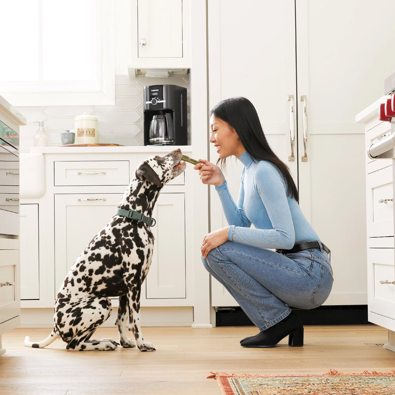Woman Feeding her dog a GREENIES Dental Treat