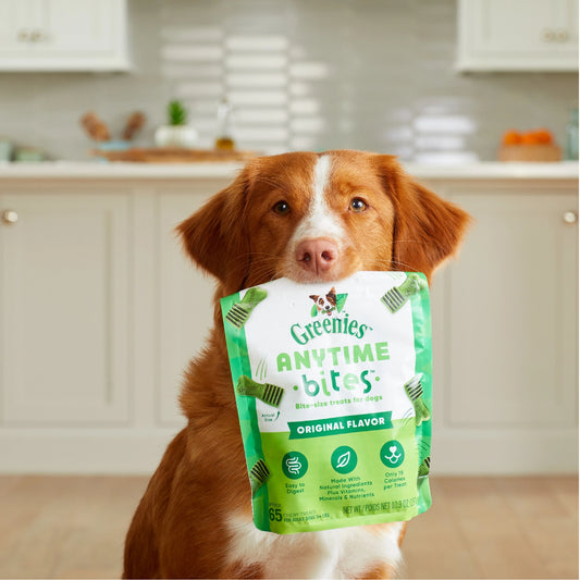 Dog with a bag of GREENIES Original Anytime Bites in its mouth