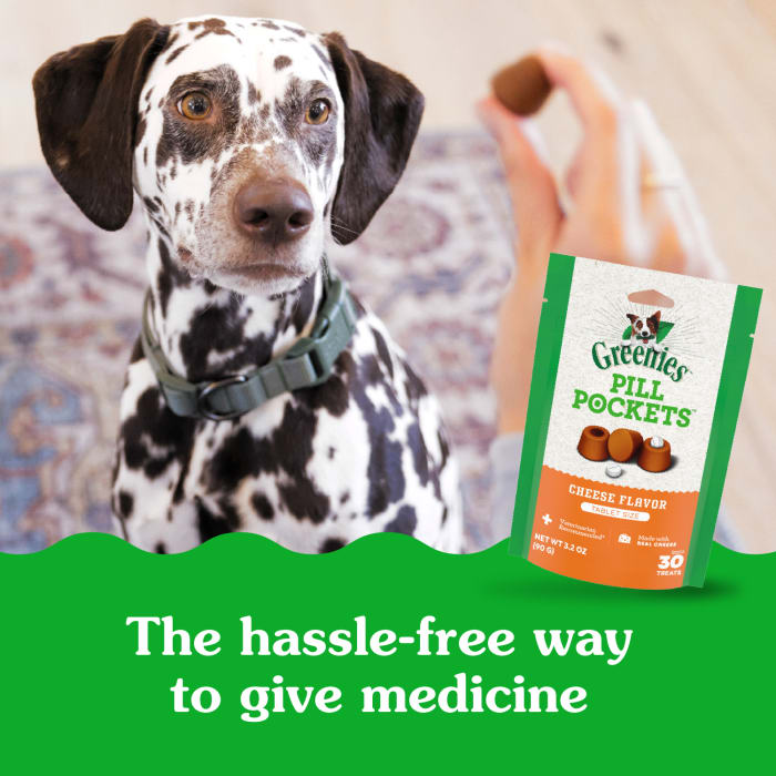 10239060_Greenies_Dog_PillPockets_Cheese_Flavor_30_Treats_lifestyle1.jpg