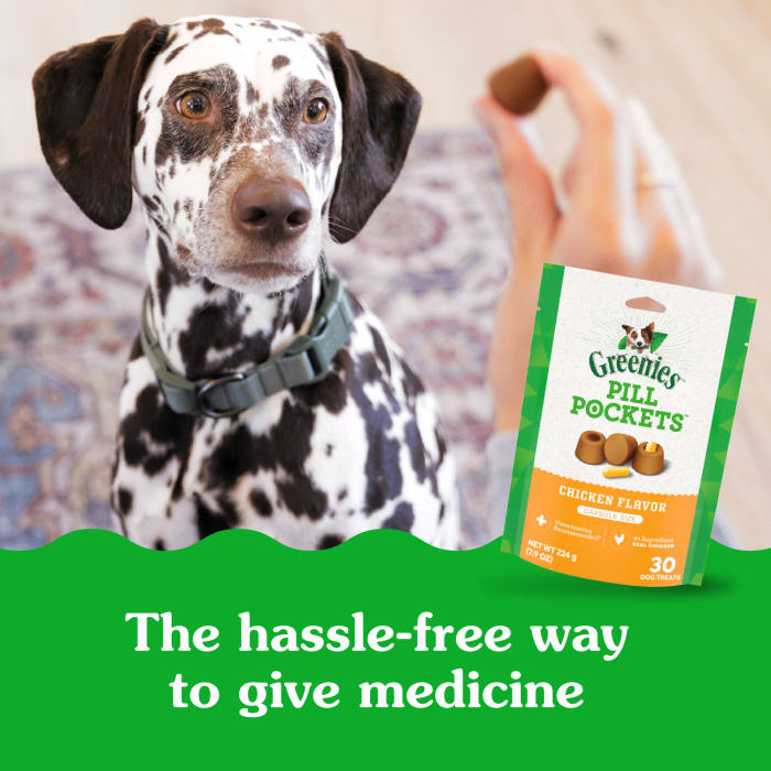 10239070_Greenies_Dog_PillPockets_Chicken_Flavor_30_Treats_lifestyle1.jpg