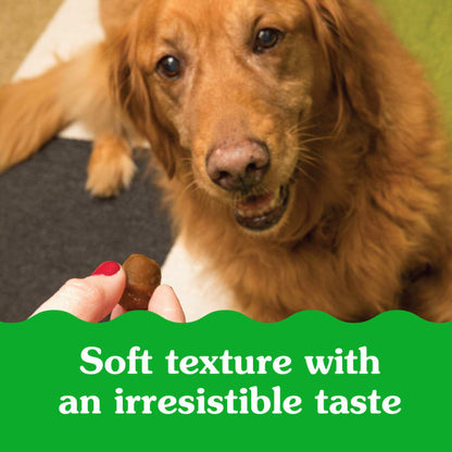 10239070_Greenies_Dog_PillPockets_Chicken_Flavor_30_Treats_lifestyle2.jpg