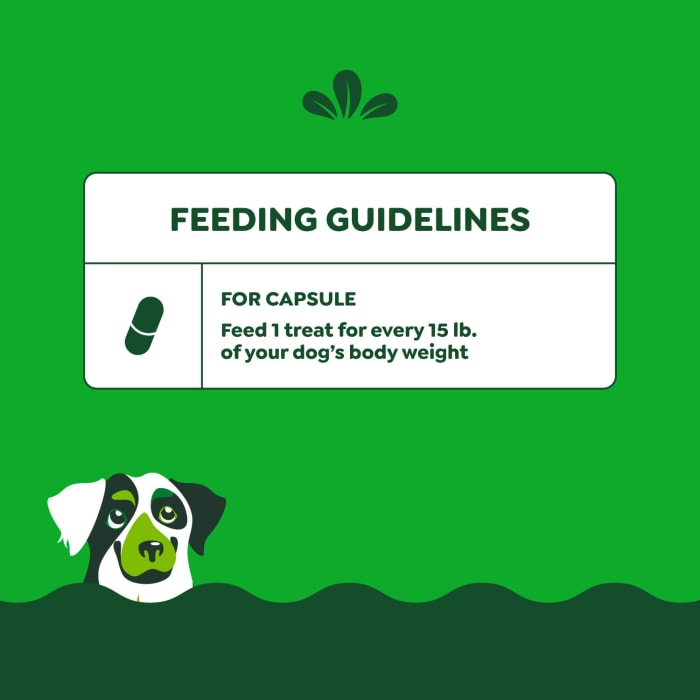 10239234_Greenies_Dog_PillPockets_HickorySmoke_Flavor_60_Treats_f.jpg