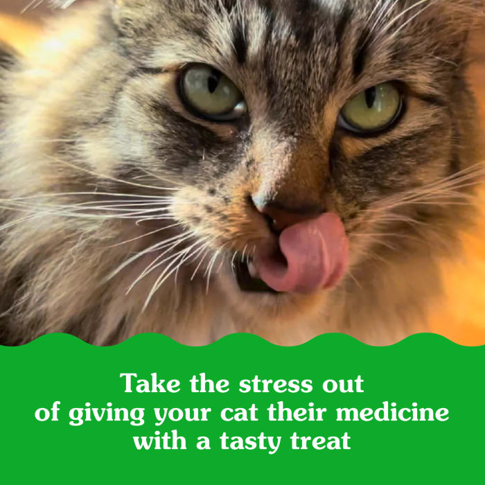 10239637_Greenies_Cat_PillPockets_Salmon_Flavor_1.6_oz_claim2.jpg