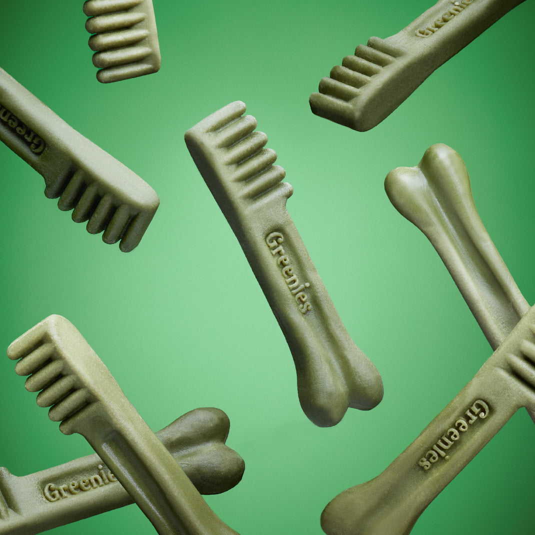 GREENIES Original Large Natural Dog Dental Care Chews Oral Health Dog