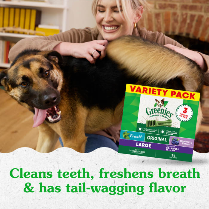 10241741_Greenies_LargeDog_DentalTreats_Variety_Pack_24_Treats_lifestyle1.jpg
