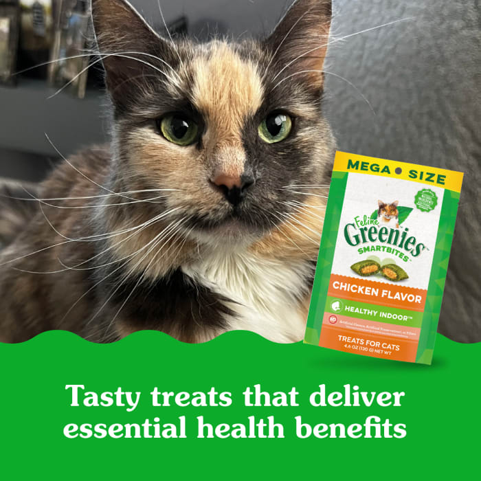 10242277_Greenies_Smartbites_Healthy_Indoor_Chicken_4.6_oz_lifestyle2.jpg