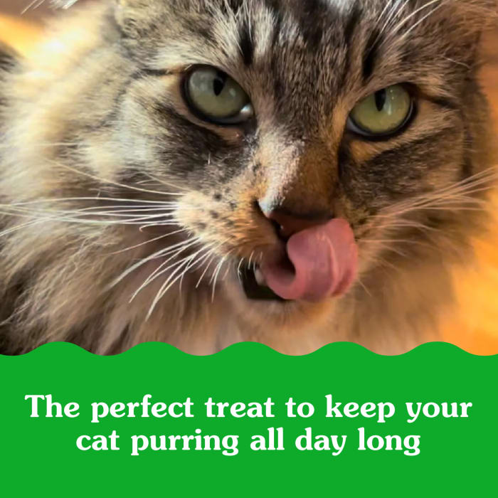 10242296_Greenies_Smartbites_Healthy_Indoor_Tuna_2.1_oz_claim2.jpg