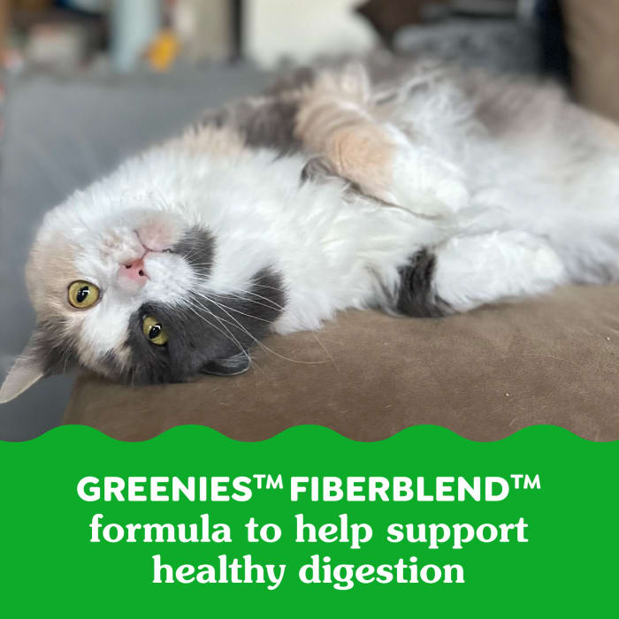10242296_Greenies_Smartbites_Healthy_Indoor_Tuna_2.1_oz_lifestyle1.jpg
