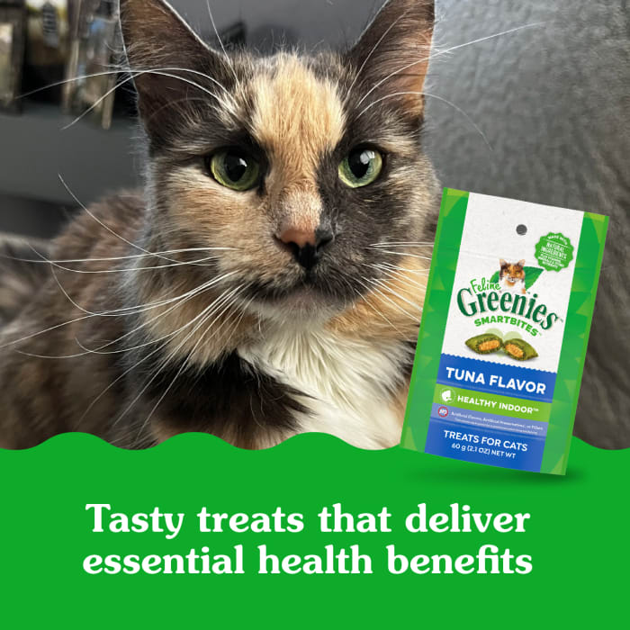 10242296_Greenies_Smartbites_Healthy_Indoor_Tuna_2.1_oz_lifestyle2.jpg
