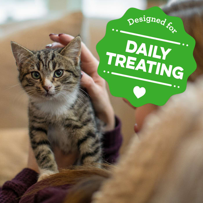 10250179_FelineGreenies_Smartbites_Kitten_16oz_lifestyle.jpg