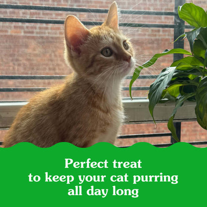 10250180_Greenies_Smartbites_Healthy_Kitten_Treats_Chicken_16_oz_claim2.jpg