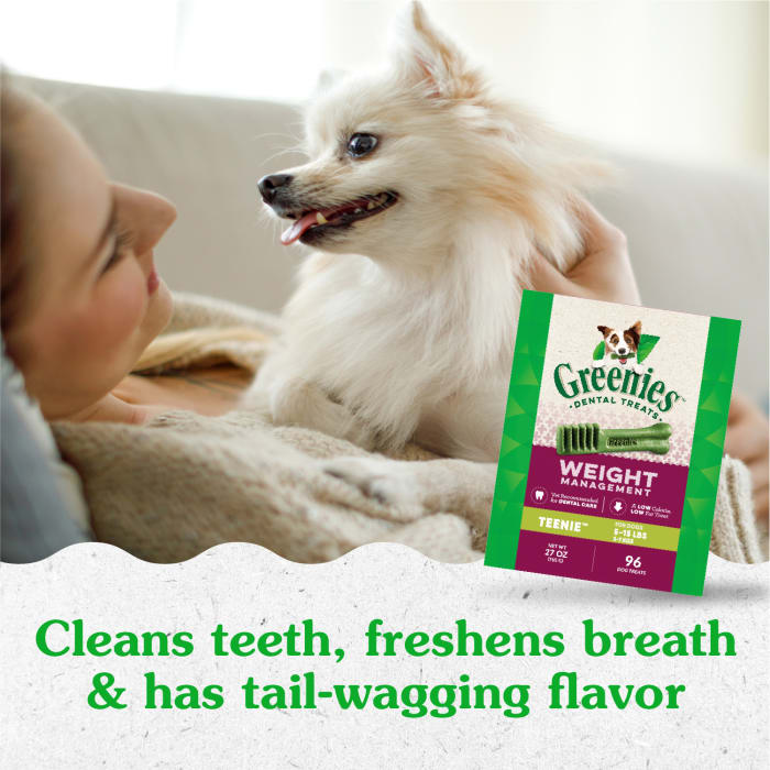 10258124_Greenies_TeenieDog_DentalTreats_Weight_Management_96_Treats_lifestyle1.jpg
