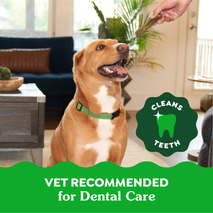 10258132_Greenies_RegularDog_DentalTreats_Weight_Management_27_Treats_lifestyle2.jpg
