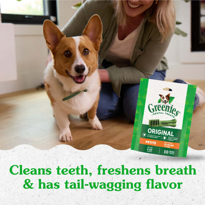 10258592_Greenies_PetiteDog_DentalTreats_Original_10_Treats_lifestyle1.jpg